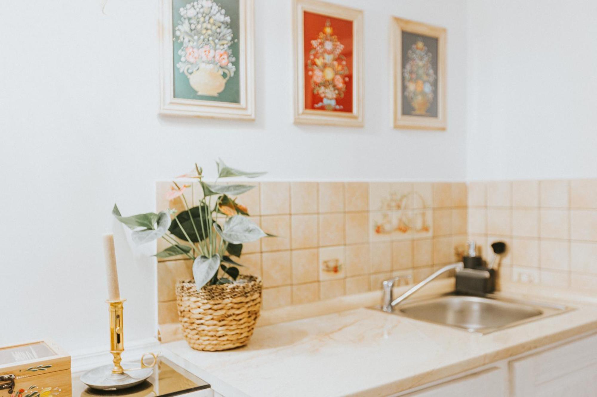 Republicii Rustic Apartament In Brasov City Center Extérieur photo