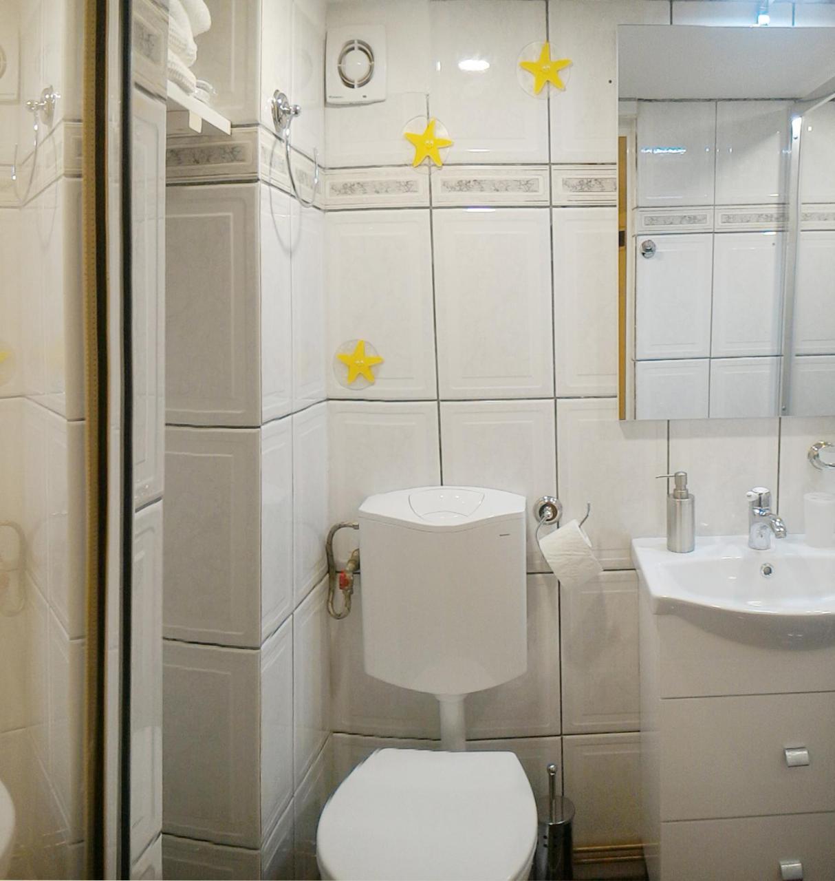 Republicii Rustic Apartament In Brasov City Center Extérieur photo